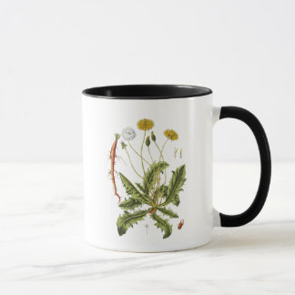 Vintage Dandelion Illustration Mug