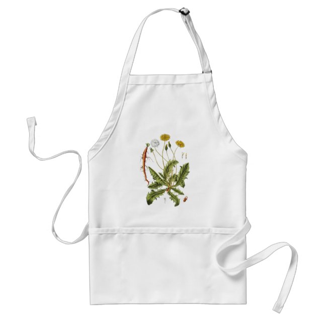 Vintage Dandelion Illustration Standard Apron (Front)