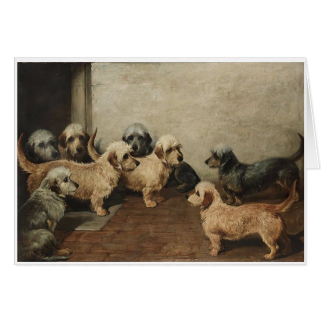 Vintage - Dandie Dinmont Terrier Dogs, (Front Horizontal)