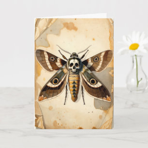 Vintage Death's-head Hawkmoth Entomology Art Card