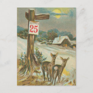 Vintage December 25th Deer Postcard