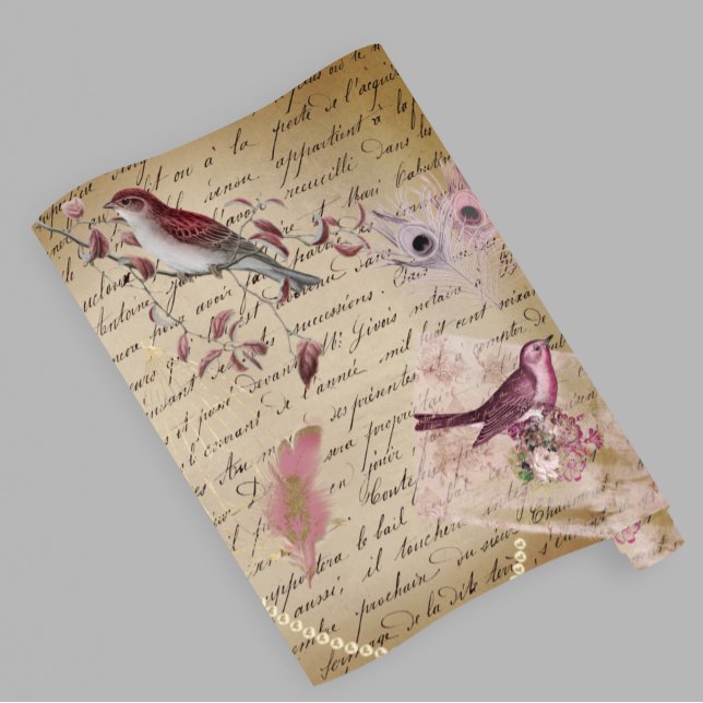 Vintage Decoupage Bird Feather Ephemera Wrapping Paper (Creator Uploaded)