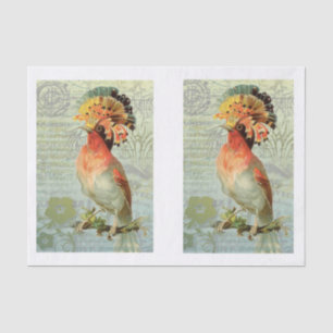 Vintage Decoupage Colourful Art Bird  Tissue Paper