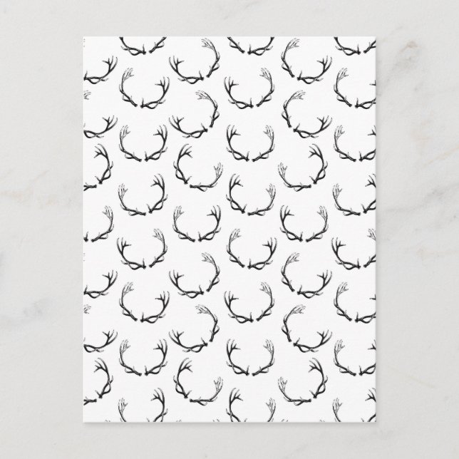 Vintage Deer Antlers Postcard (Front)