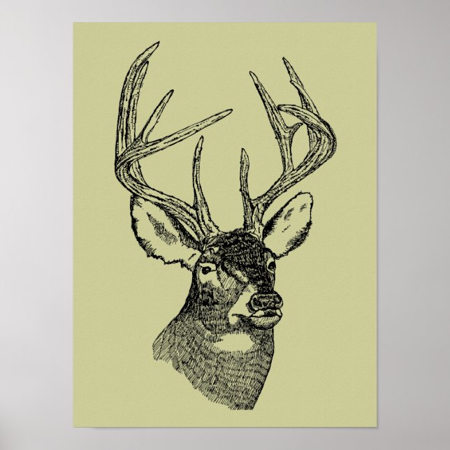 Vintage deer art graphic poster (Front)