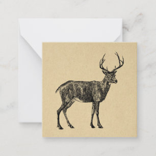 Vintage Deer Art Illustrated Deer Card