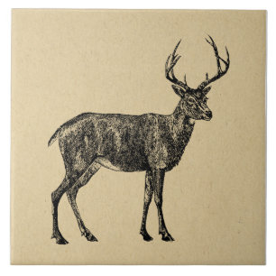 Vintage Deer Art Illustrated Deer Tile