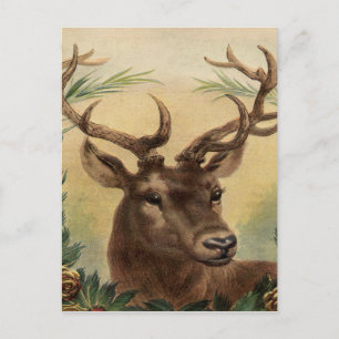 Vintage Deer Buck Stag Nature Rustic Christmas Holiday Postcard