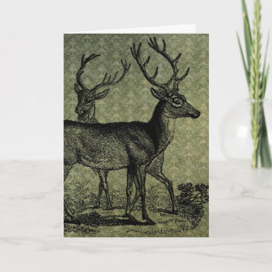Vintage Deer Card
