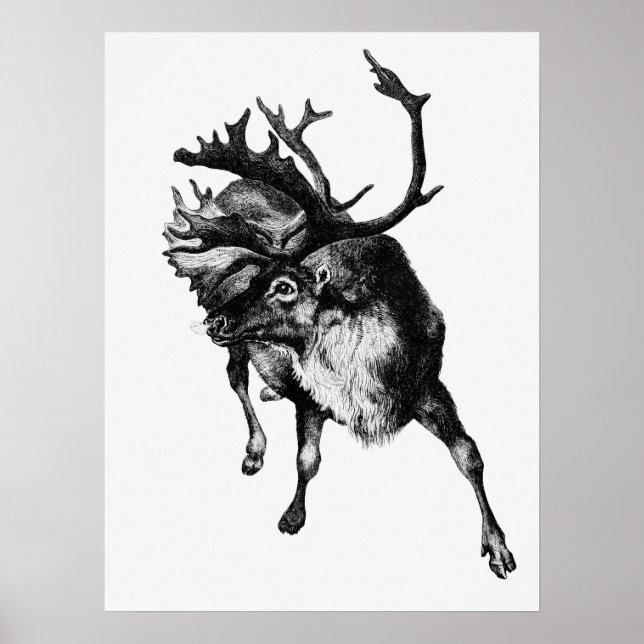 Vintage Deer Illustration Poster (Front)