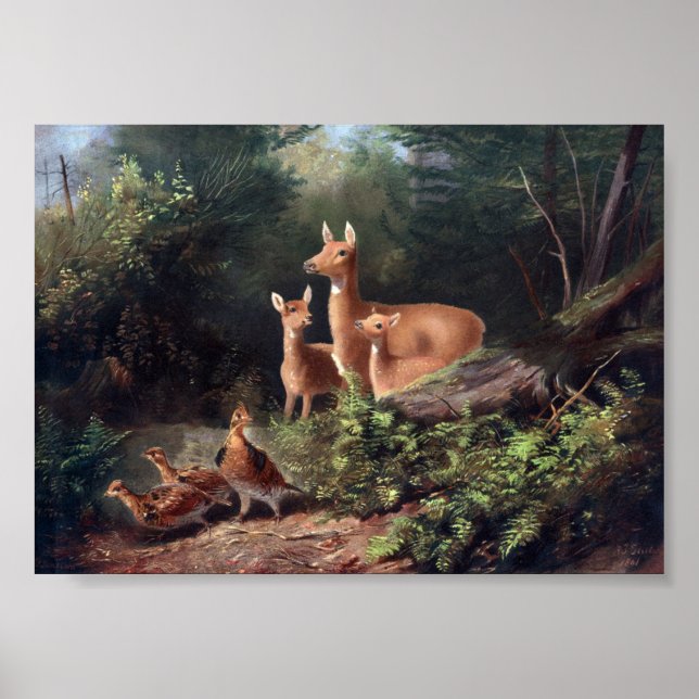 Vintage Deer Illustration Poster (Front)