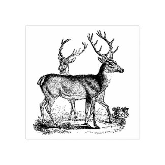 Vintage Deer in the Forest Rubber Stamp