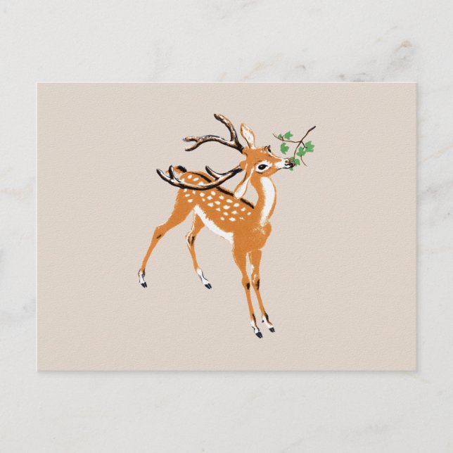 Vintage Deer Postcard (Front)