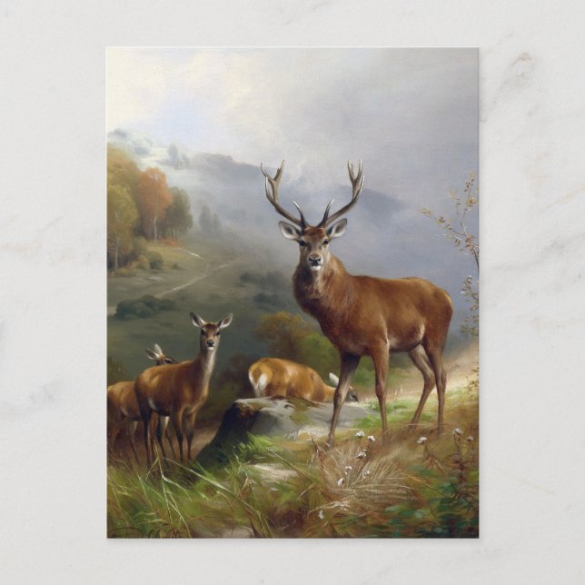 Vintage Deer Stag - Animals Old Illustration Art Postcard (Front)