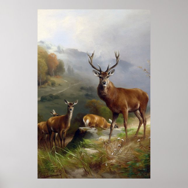 Vintage Deer Stag - Animals Old Illustration Art Poster (Front)