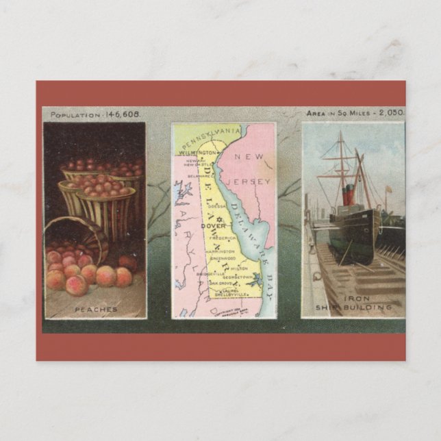 Vintage Delaware Postcard (Front)