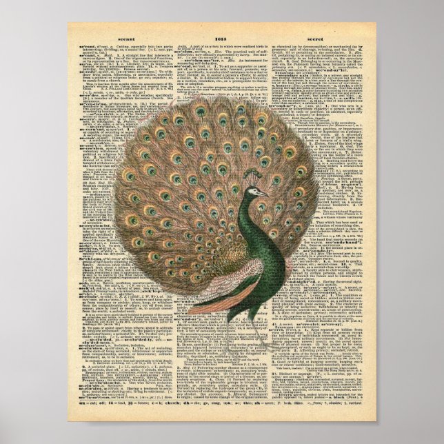 Vintage Dictionary Art Beautiful Peacock Bird Poster (Front)