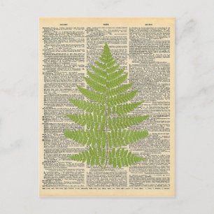 Vintage Dictionary Art Green Fern Frond Postcard