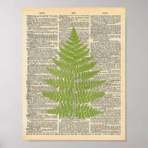Vintage Dictionary Art Green Fern Frond Print