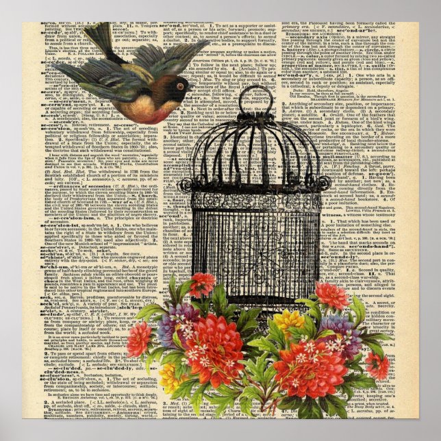 Vintage Dictionary Bird Cage Poster (Front)