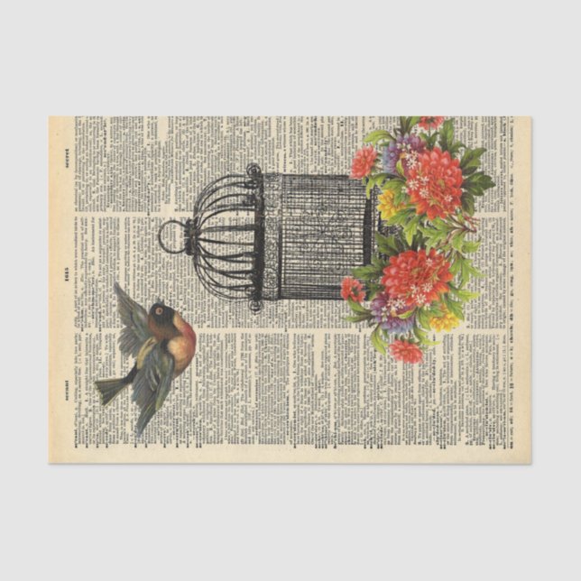 Vintage Dictionary Page Bird Cage Decoupage Tissue Paper (Front)