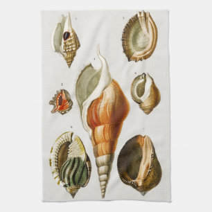 Vintage Different types of mollusks shells Tea Towel