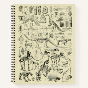 Vintage Dinosaur Bone Fossils Art Notebook