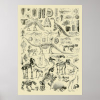 Vintage Dinosaur Bone Fossils Art