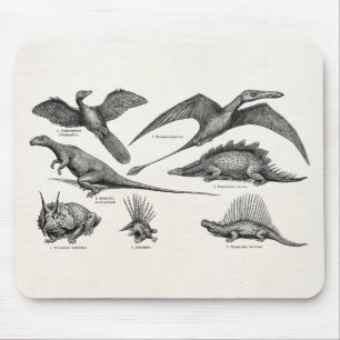 Vintage Dinosaur Illustration Retro Dinosaurs Mouse Mat
