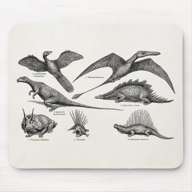 Vintage Dinosaur Illustration Retro Dinosaurs Mouse Mat (Front)