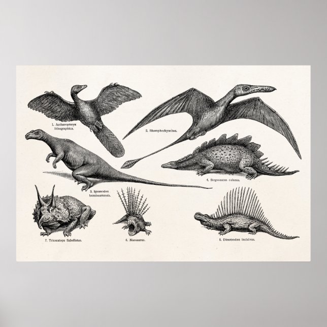 Vintage Dinosaur Illustration Retro Dinosaurs Poster (Front)