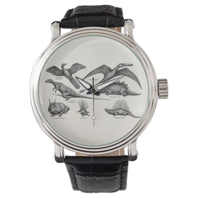 Vintage Dinosaur Illustration Retro Dinosaurs Watch (Front)