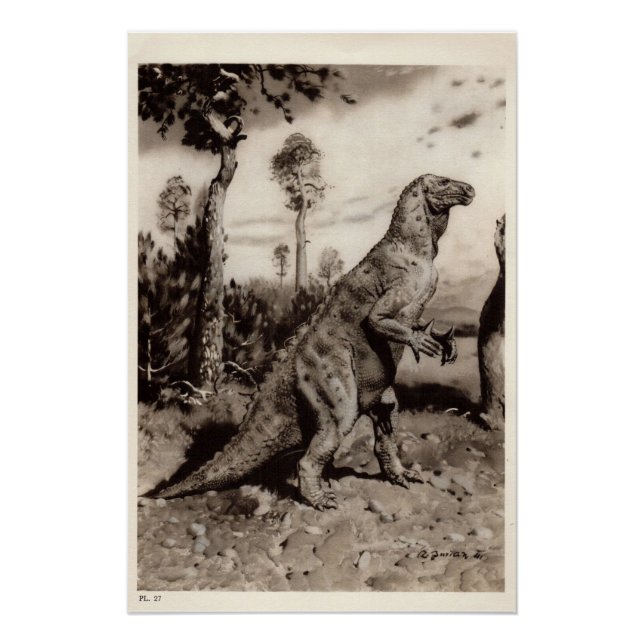 Vintage Dinosaur Print #1 (Front)