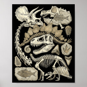 Vintage Dinosaur Skeleton Fragments Paleontology Poster