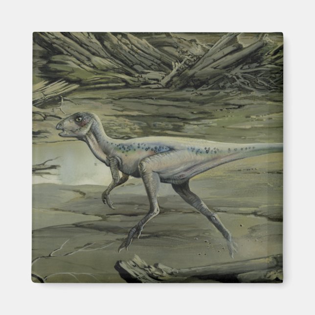 Vintage Dinosaurs, a Cretaceous Hypsilophodon Magnet (Front)