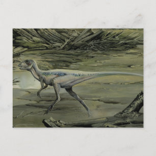 Vintage Dinosaurs, a Cretaceous Hypsilophodon Postcard
