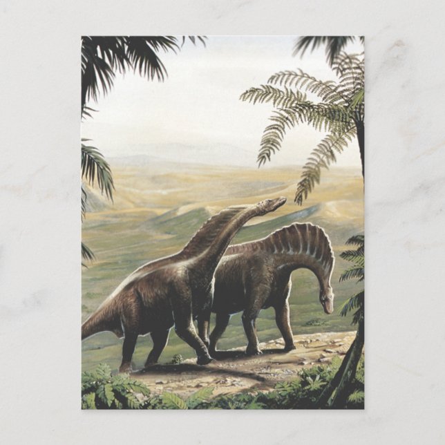 Vintage Dinosaurs, Amargasaurus with Palm Trees Postcard (Front)