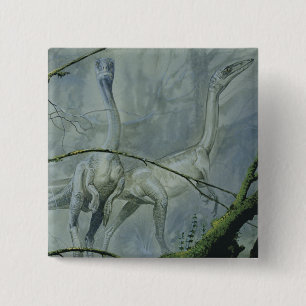Vintage Dinosaurs, Megapnosaurus aka Syntarsus 15 Cm Square Badge
