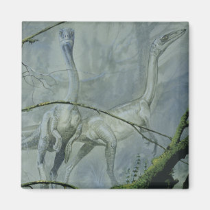 Vintage Dinosaurs, Megapnosaurus aka Syntarsus Magnet