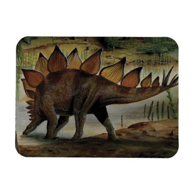 Vintage Dinosaurs, Stegosaurus, Tail with Spikes Magnet (Horizontal)