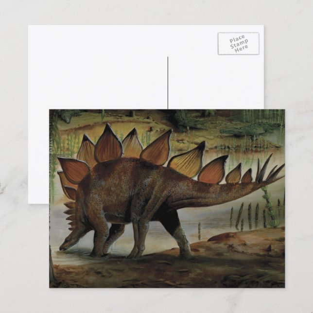 Vintage Dinosaurs, Stegosaurus, Tail with Spikes Postcard (Front/Back)