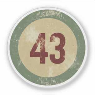 Vintage Distressed Number 43