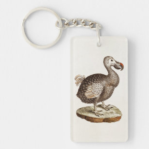Vintage Dodo Bird Illustration 1700s Dodo Birds Key Ring
