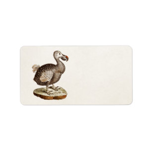 Vintage Dodo Bird Illustration 1700s Dodo Birds Label