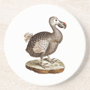 Vintage Dodo Bird Retro Dodos Birds 1700s Coaster
