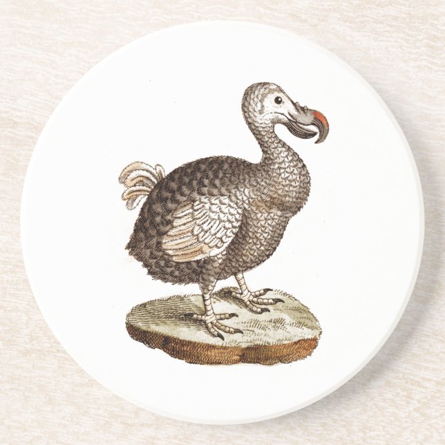 Vintage Dodo Bird Retro Dodos Birds 1700s Coaster (Front)