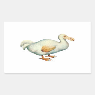 Vintage Dodo Illustration Rectangular Sticker