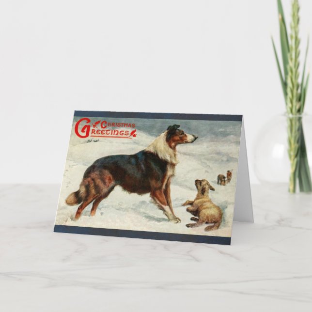 Vintage dog and sheep christmas holiday card (Front)