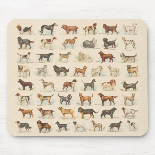 Vintage Dog Breed Drawings Mouse Mat (Front)
