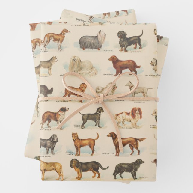 Vintage Dog Breed Drawings Patterned Wrapping Paper Sheet (In situ)